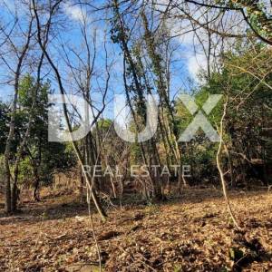 ISTRA, BUJE - Građevinsko zemljište 1150m2 sa ruševinom u okolici Buja