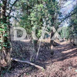 ISTRA, BUJE - Građevinsko zemljište 1150m2 sa ruševinom u okolici Buja