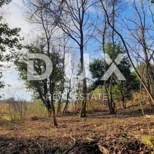 ISTRA, BUJE - Građevinsko zemljište 1150m2 sa ruševinom u okolici Buja