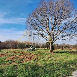 Istra, Buje, građevinsko zemljište, 900m2, pogled na more