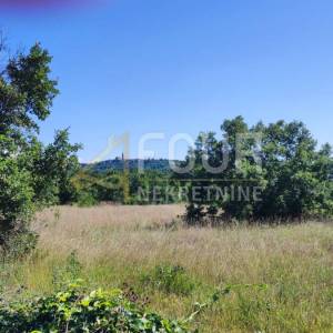 Istra, Buje, građevinsko zemljište 5.080m2