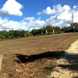 ISTRA, BUJE - Jedinstveno imanje na izvanrednoj lokaciji