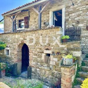 ISTRA, BUJE - NOVO - Kuća umjetnika s panoramskim pogedom
