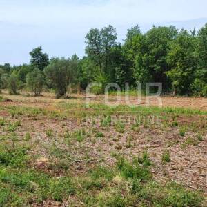 Istra, Buje, poljoprivredno zemljište 47.888m2