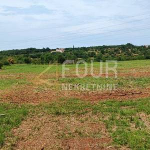 Istra, Buje, poljoprivredno zemljište 47.888m2