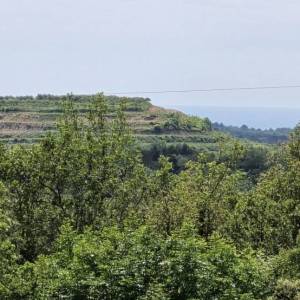ISTRA, BUJE - TOP ponuda! Građevinsko zemljište s dozvolom za 5 vila s bazenom, prekrasan pogled na more, prilika!