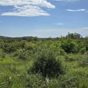 ISTRA, BUJE - TOP ponuda! Građevinsko zemljište s dozvolom za 5 vila s bazenom, prekrasan pogled na more, prilika!