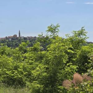 ISTRA, BUJE - TOP ponuda! Građevinsko zemljište s dozvolom za 5 vila s bazenom, prekrasan pogled na more, prilika!