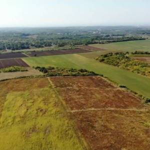 ISTRA, BUJE - Veliko poljoprivredno zemljište površine 68 267 m2 s pogledom na more!