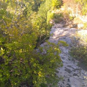 ISTRA, BUTONIGA - Prostrano poljoprivredno zemljište