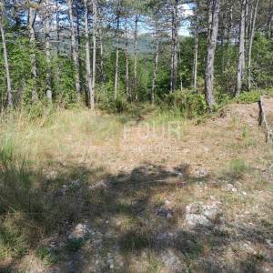 Istra, Buzet, građevinsko zemljište, 1.601m2