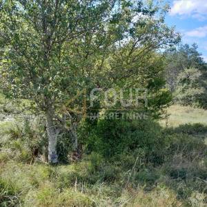 Istra, Buzet, građevinsko zemljište, 1.601m2