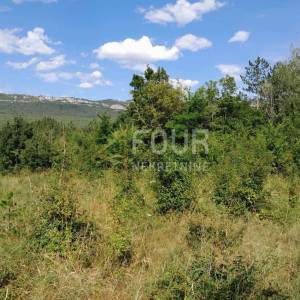 Istra, Buzet, građevinsko zemljište, 1.601m2