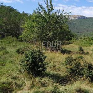 Istra, Buzet, građevinsko zemljište, 1.601m2
