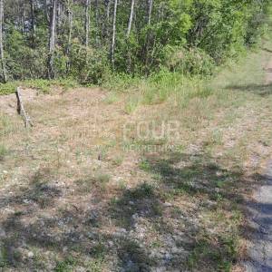 Istra, Buzet, građevinsko zemljište, 1.601m2