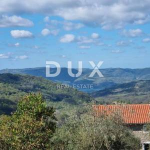ISTRA, BUZET - Imanje s 4 stambena objekta i jednim poslovno-stambenim objektom, otvoreni pogled na prirodu i jezero 