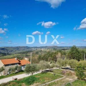 ISTRA, BUZET - Imanje s 4 stambena objekta i jednim poslovno-stambenim objektom, otvoreni pogled na prirodu i jezero 