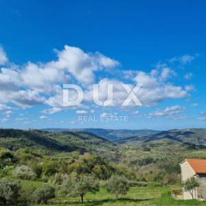 ISTRA, BUZET - Imanje s 4 stambena objekta i jednim poslovno-stambenim objektom, otvoreni pogled na prirodu i jezero 