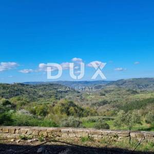 ISTRA, BUZET - Imanje s 4 stambena objekta i jednim poslovno-stambenim objektom, otvoreni pogled na prirodu i jezero 