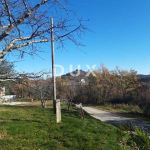 ISTRA, BUZET - Kompleks zemljišta