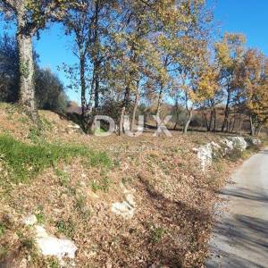 ISTRA, BUZET - Kompleks zemljišta