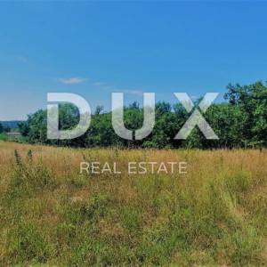ISTRA, BUZET, OKOLICA - Građevinsko zemljište 2892 m2 u mirnom naselju