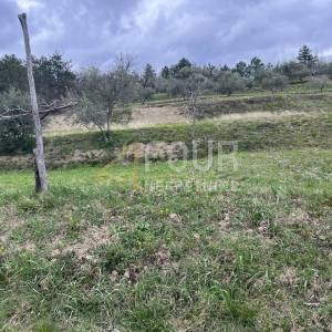 Istra, Buzet - okolica, građevinsko zemljište 2.744m2