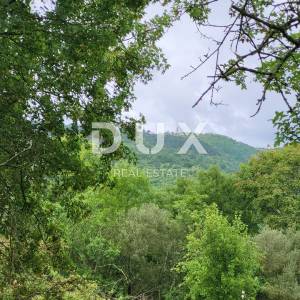 ISTRA, BUZET - Poljoprivredna zemljišta