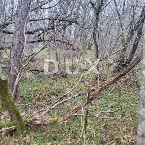 ISTRA, BUZET - Poljoprivredno zemljište