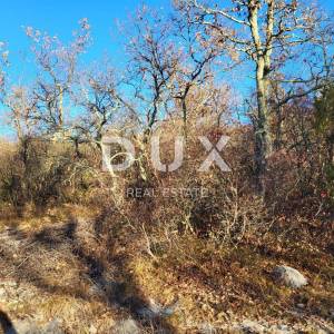 ISTRA, BUZET - Poljoprivredno zemljište 3012 m2