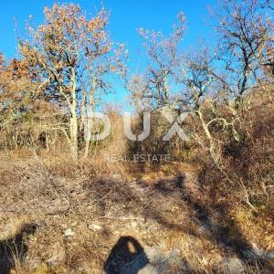 ISTRA, BUZET - Poljoprivredno zemljište 3012 m2