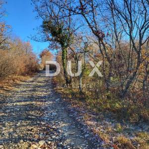 ISTRA, BUZET - Poljoprivredno zemljište 3012 m2