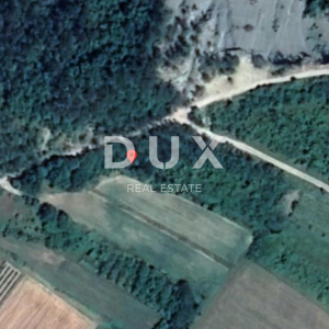 ISTRA, BUZET - Poljoprivredno zemljište