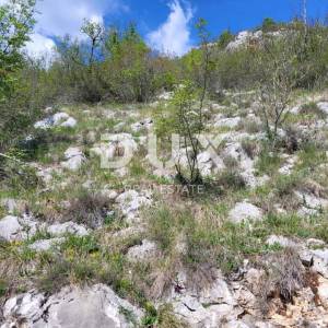 ISTRA, BUZET - Poljoprivredno zemljište