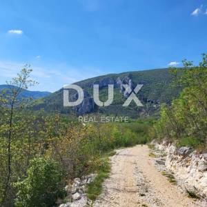 ISTRA, BUZET - Poljoprivredno zemljište