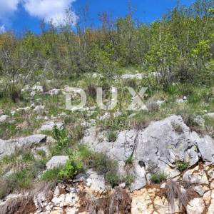 ISTRA, BUZET - Poljoprivredno zemljište