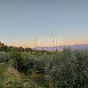 Istra, Buzet, poljoprivredno zemljište 13.468m2