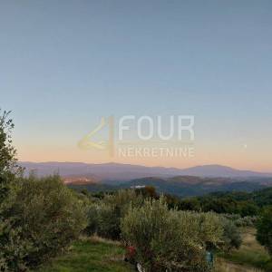 Istra, Buzet, poljoprivredno zemljište 13.468m2