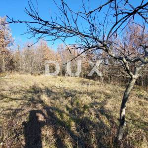 ISTRA, BUZET - Prostrano zemljište na rubu naselja