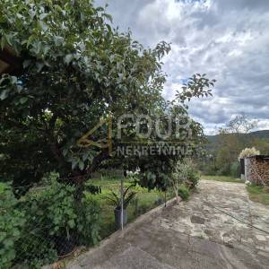 Istra, Buzet, samostojeća kuća, 250m2