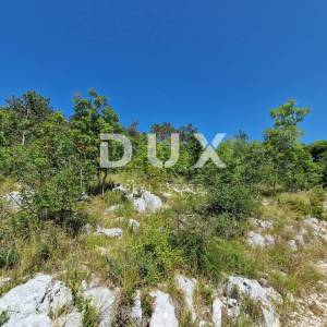 ISTRA, BUZET - Zemljište s panoramskim pogledom