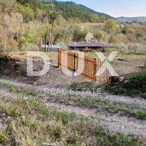 ISTRA, CEROVLJE, GRIMALDA – Maslinik među brežuljcima, 280 stabala na 2,4 ha