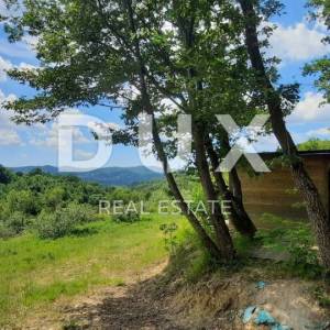 ISTRA, CEROVLJE, GRIMALDA – Maslinik među brežuljcima, 280 stabala na 2,4 ha