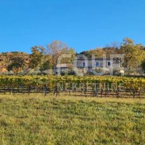 Istra, Cerovlje - okolica, imanje od 3.369m2 - dvije kamene kuće 