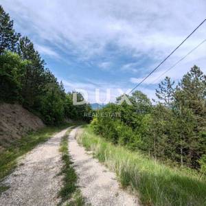 ISTRA, CEROVLJE, OKOLICA - Jedinstvena prilika na tržištu! Selo na osami od 20ha