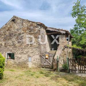 ISTRA, CEROVLJE, OKOLICA - Jedinstvena prilika na tržištu! Selo na osami od 20ha