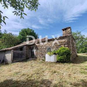 ISTRA, CEROVLJE, OKOLICA - Jedinstvena prilika na tržištu! Selo na osami od 20ha