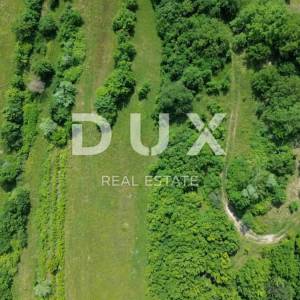 ISTRA, CEROVLJE, OKOLICA - Jedinstvena prilika na tržištu! Selo na osami od 20ha