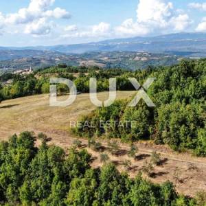 ISTRA, CEROVLJE - Prostrano poljoprivredno zemljište s maslinama