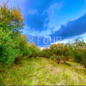 Istra, Cerovlje, zemljište 2.257m2 sa 6 ucrtanih ruševina